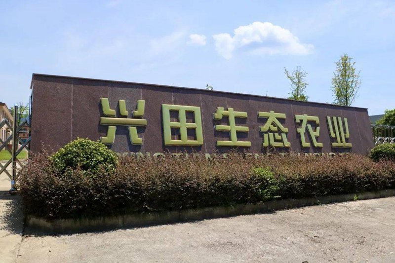 莘禾,在教育行业中有着特殊含义,那么它究竟是什么?我们通过专业人士的视角来探讨一下。
