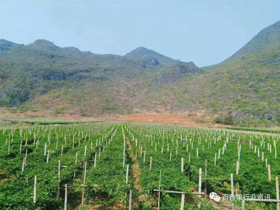 莘禾艺术:如何在家打造专业级绘画空间
